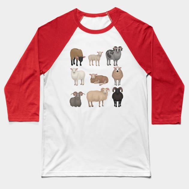 Sheep collection Baseball T-Shirt by Mako Design 
